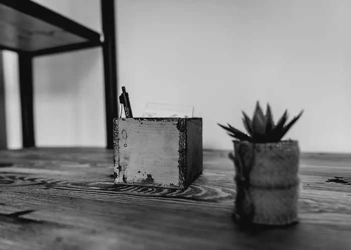Pensión Officina 4*